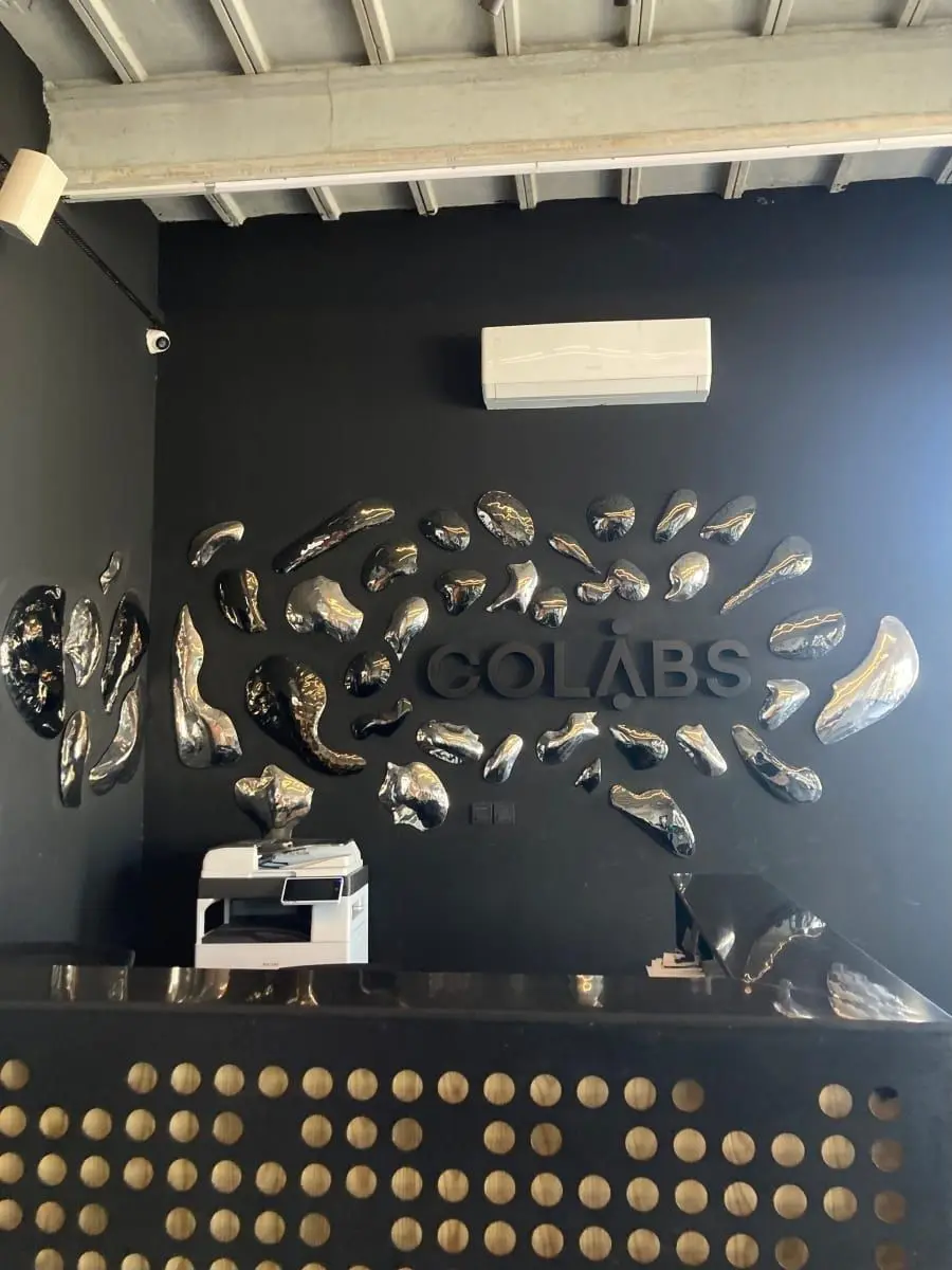Collaborative public installation